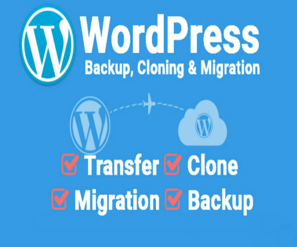 Backup, Cloning & Migration Services