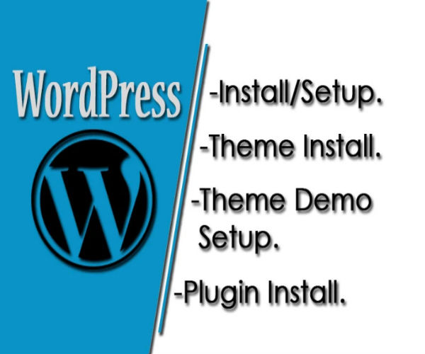 Theme/Plugin Installation Services